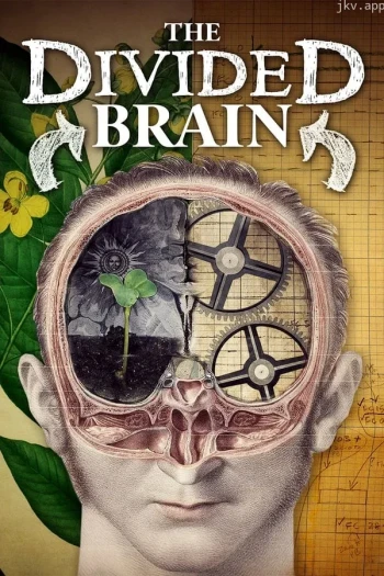 分裂的大脑