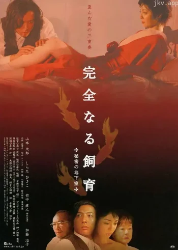 完美宠物:秘密地下室