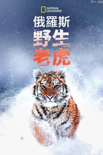 狂野俄罗斯 第二季