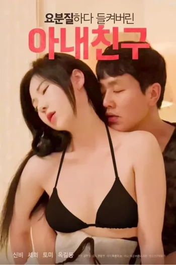 我妻子的朋友