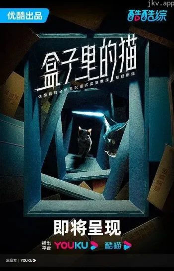盒子里有猫腻
