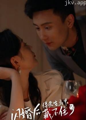 闪婚后傅先生马甲藏不住了