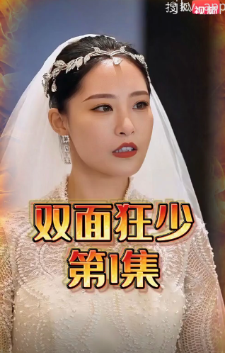 双面狂少