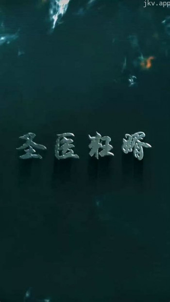 圣医狂婿