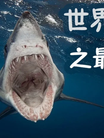 世界之最