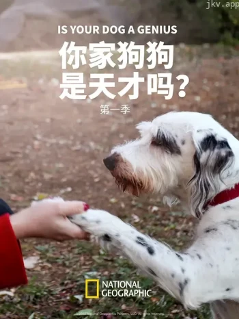 你家狗狗是天才吗