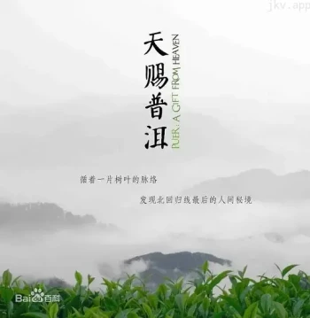 天赐普洱