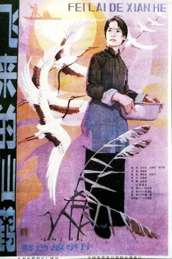飞来的仙鹤