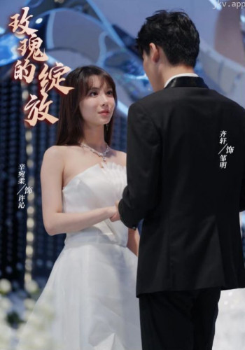 玫瑰的绽放