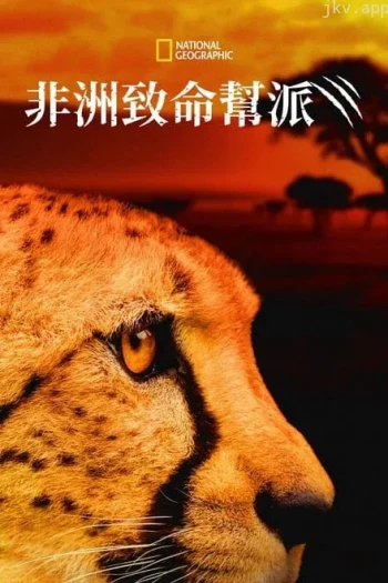 非洲致命动物 第一季