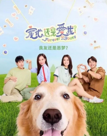 宠他,还是爱我?