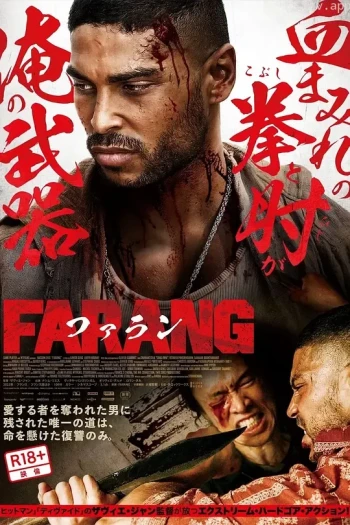 极拳攻缉