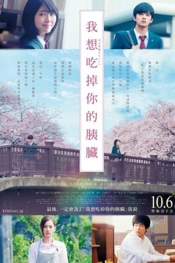 念念手纪