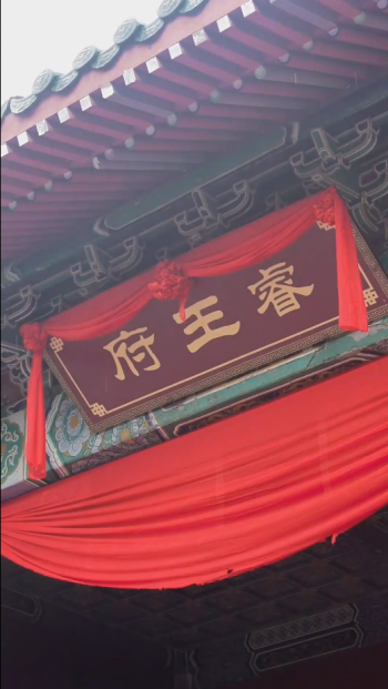 新:王妃她又美又飒