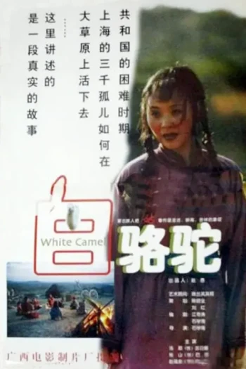 白骆驼