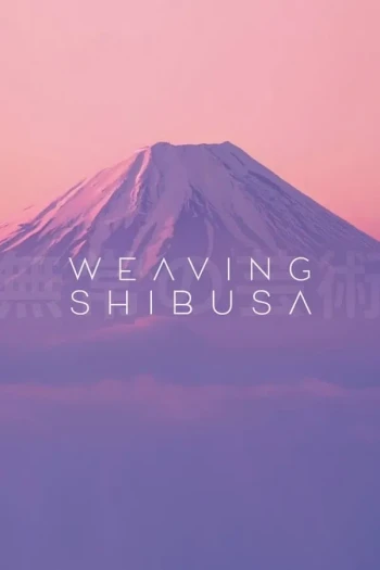 丹宁风云录
