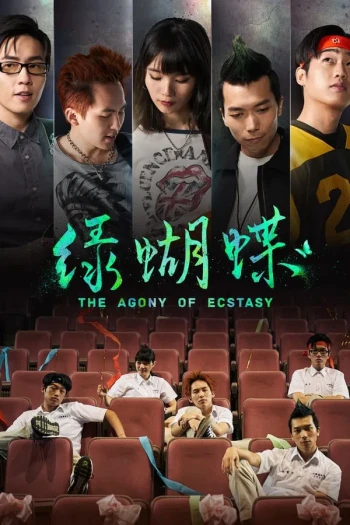 绿蝴蝶
