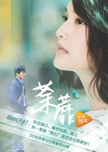 荼靡