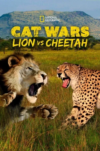 猫科大战:狮子VS猎豹
