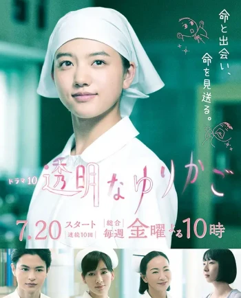 透明的摇篮