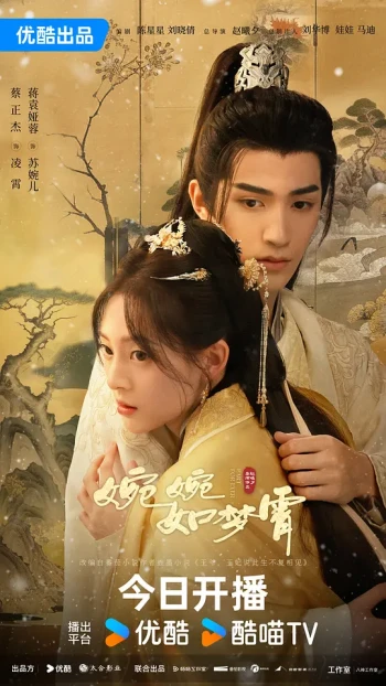婉婉如梦霄