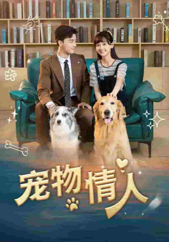 宠物情人短剧版