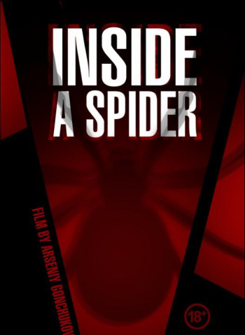 Inside a spider
