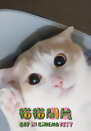 本地猫猫短片