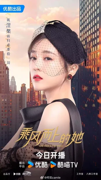 迫降在我心