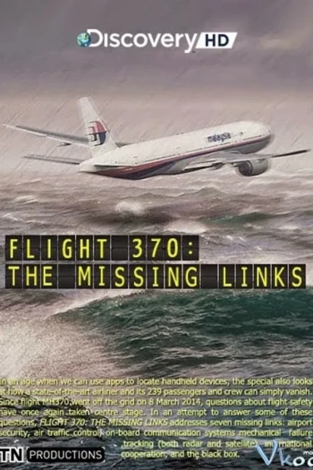 MH370:缺失的环节