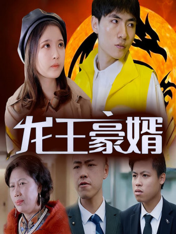 龙王豪婿