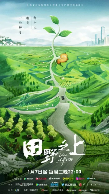 田野之上