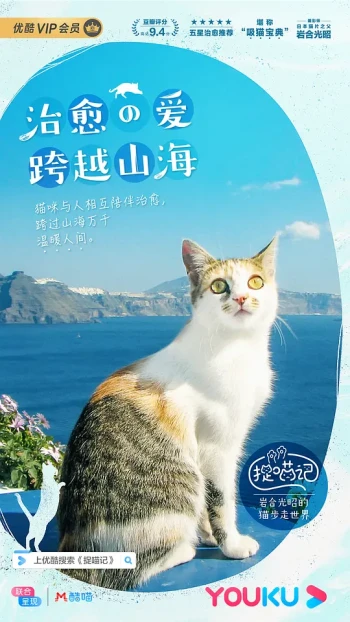 捉喵记