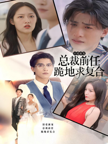 旧爱新宠,总裁前任跪地求复合