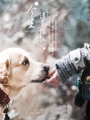 今生,请多指教 第三季