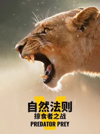 自然法则:掠食者之战