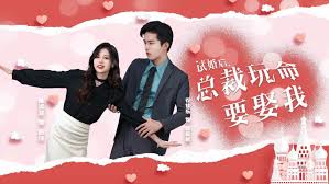 试婚后,总裁玩命要娶我