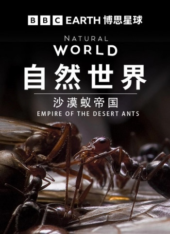 BBC自然世界:沙漠蚂蚁帝国