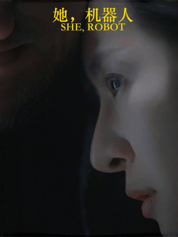 她,机器人(她机器人)