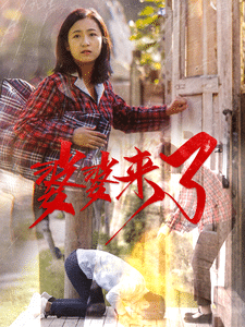 婆婆来了(短剧版)