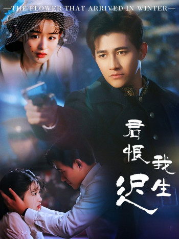 君恨我生迟(司令府就是我的家)