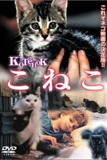 小猫虎子