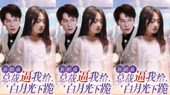 新婚夜，总裁逼我给白月光下跪