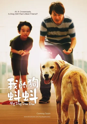 我的狗蚪蚪