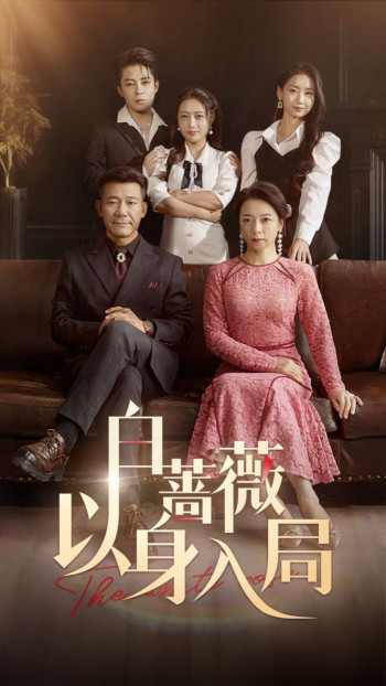 白蔷薇以身入局