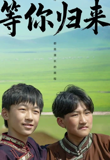 等你归来2025