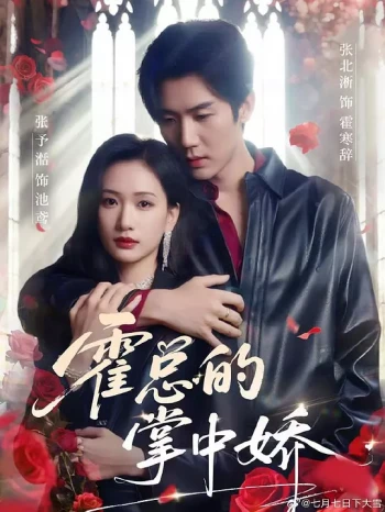 霍总的掌中娇
