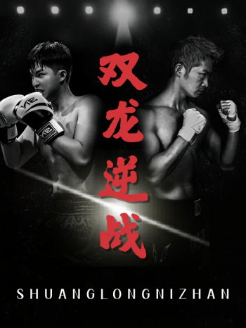 双龙逆战