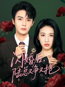 闪婚后,陆总又争又抢