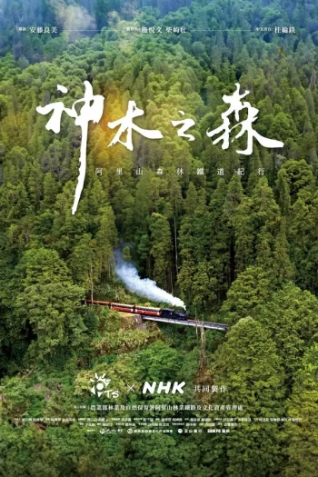 去森林